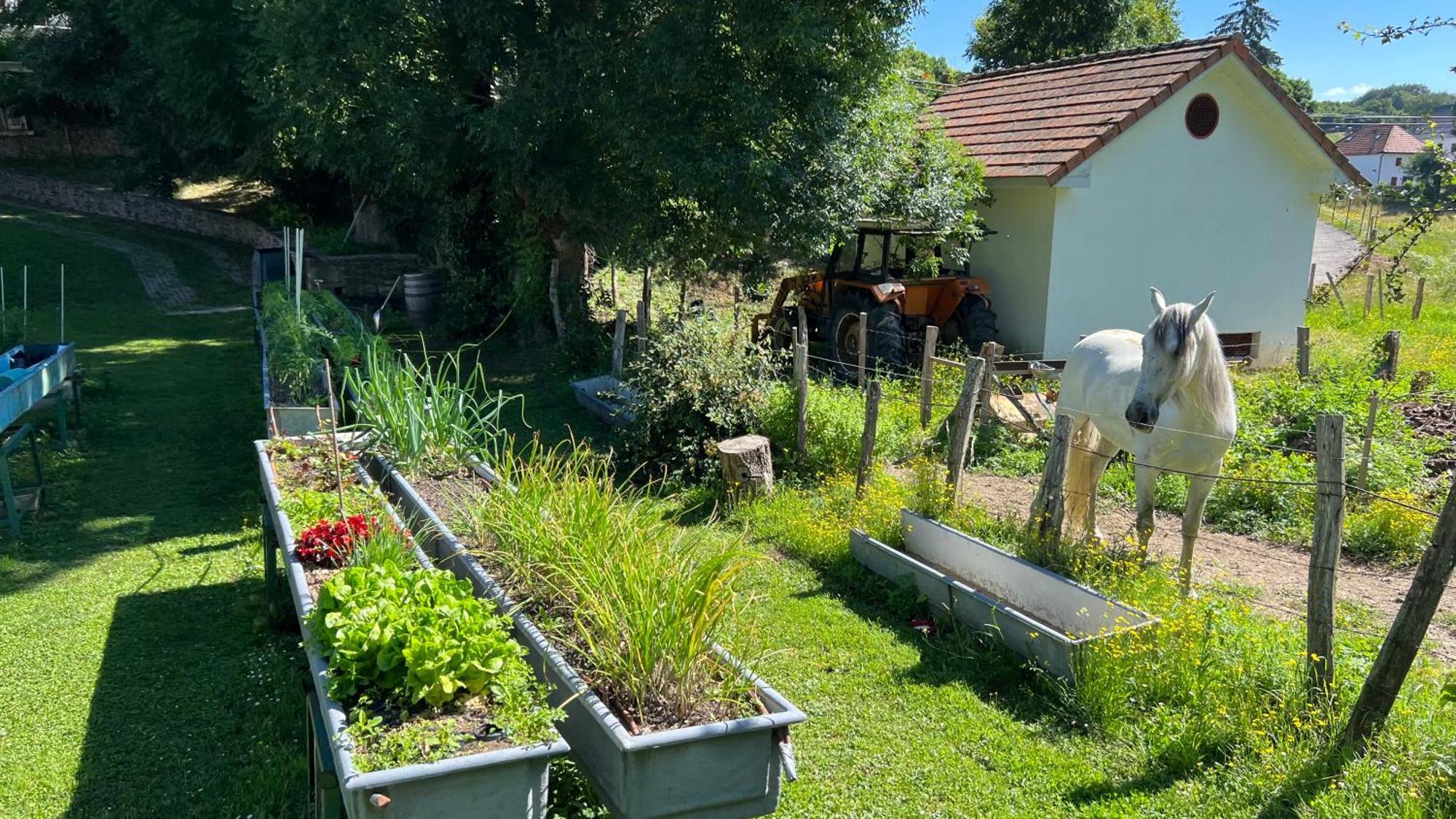 Hotel Rural Basque Irati Espinal-Auzperri Esterno foto
